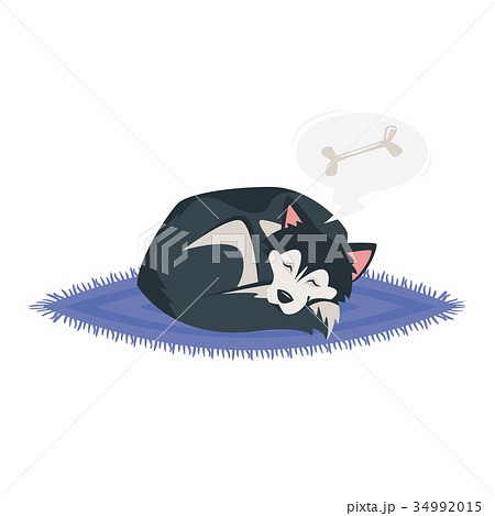 husky dog sleeping husky dog sleeping 34992015