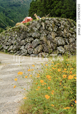 棚田の石垣 34992850