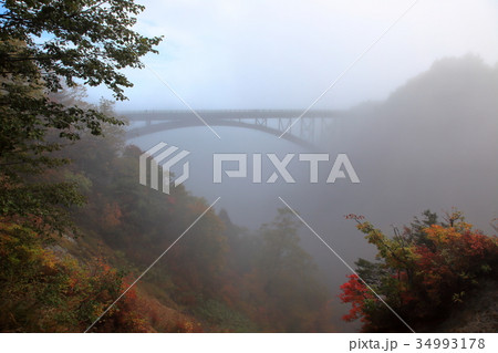 朝霧　不動沢橋 34993178