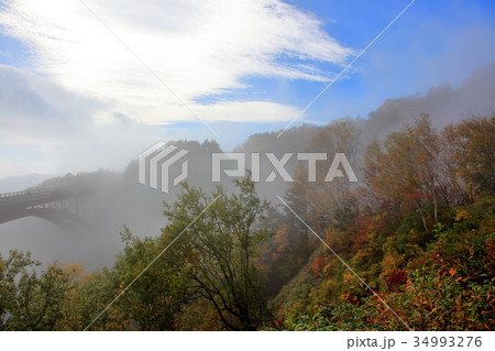 つばくろ谷　紅葉 34993276