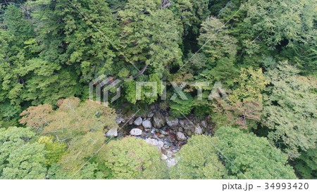 内子町小田深山渓谷の空撮、色づき初めに 内子町小田深山渓谷の空撮、色づき初めに 34993420