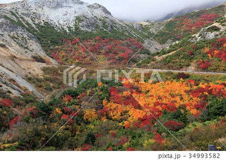 磐梯吾妻スカイライン 紅葉 磐梯吾妻スカイライン 紅葉 34993582