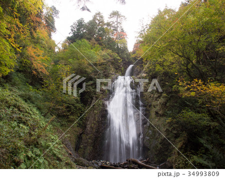 秋田県抱返り渓谷　回顧の滝　紅葉 34993809
