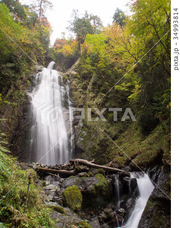 秋田県抱返り渓谷 回顧の滝 紅葉 秋田県抱返り渓谷 回顧の滝 紅葉 34993814
