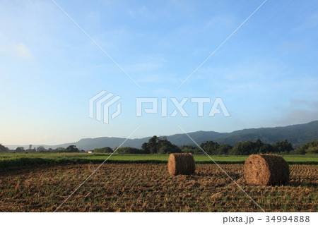 収穫期の長狭街道 34994888