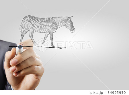 Protect animals 34995950