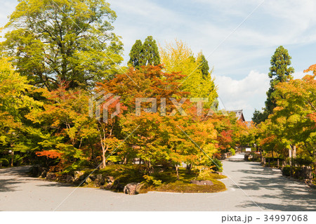 京都・永観堂 34997068