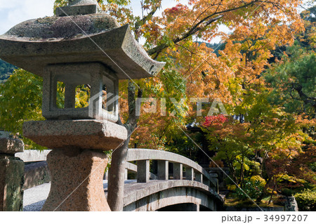京都・永観堂 34997207