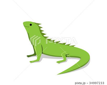 Friendly green iguana in flat style, vectorのイラスト素材 34997233 - PIXTA