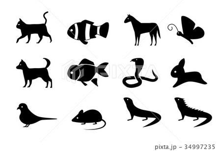 Set of animal icons in silhouette style, vector Set of animal icons in silhouette style, vector 34997235