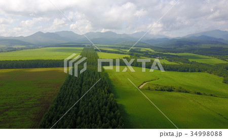 中標津２０１７・格子状防風林－１ 34998088