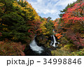 紅葉 34998846