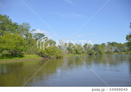 釧路湿原（北海道） 34999040