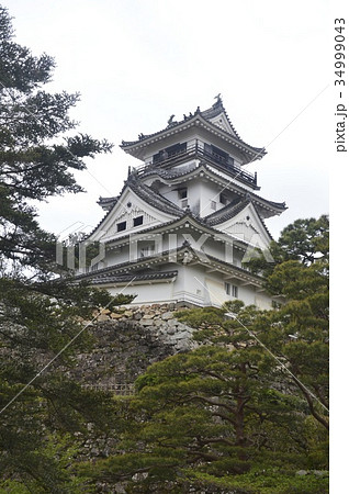 高知城(高知県高知市) 高知城(高知県高知市) 34999043