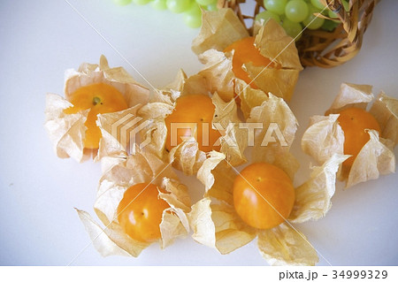 食用ほうずき 34999329