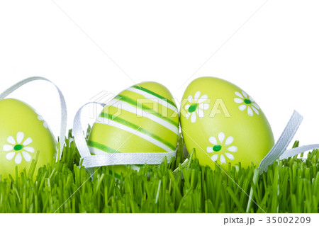 easter eggs in grass 35002209