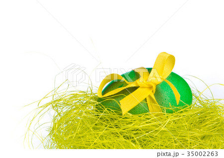 easter egg in nest 35002263