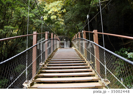 河津七滝 河津踊子滝見橋 河津七滝 河津踊子滝見橋 35002448