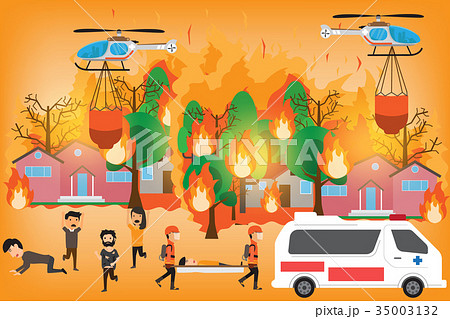 Forest Fire infographics. burning forest trees  35003132