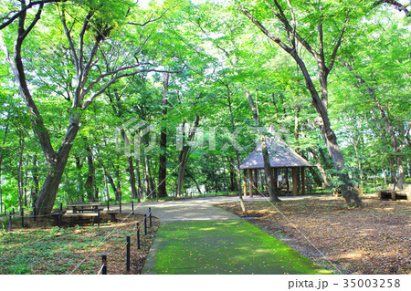 三井の森公園 35003258