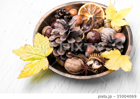 symbolic autumn Ikebana 35004069
