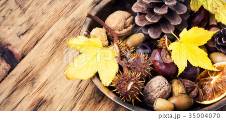 symbolic autumn Ikebana 35004070