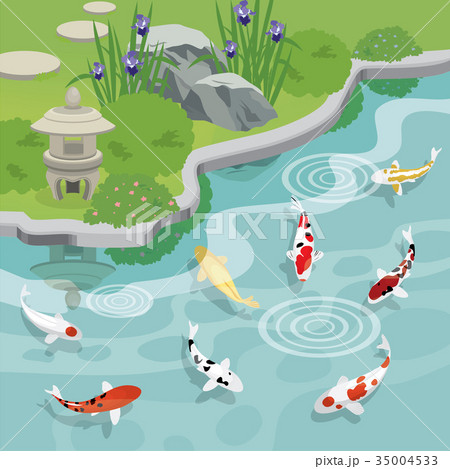 japanese garden with koi pond 35004533