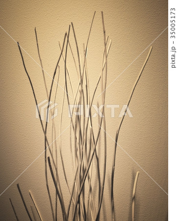 Abstract Brown Trees Branches in A Dark Room 35005173