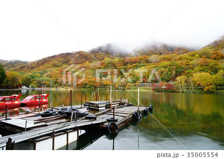 赤城大沼の紅葉 赤城大沼の紅葉 35005554