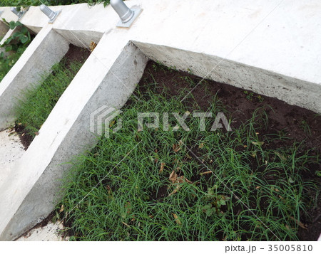 法面枠内に生育基盤材と植物の種子を吹き付けます 法面枠内に生育基盤材と植物の種子を吹き付けます 35005810