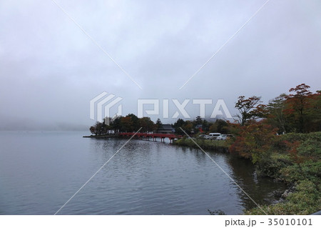 赤城神社の啄木鳥橋(きつつきはし) 35010101
