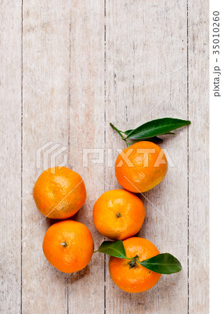 five tangerines with leaves five tangerines with leaves 35010260