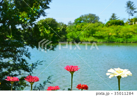 水辺の風景 35011284