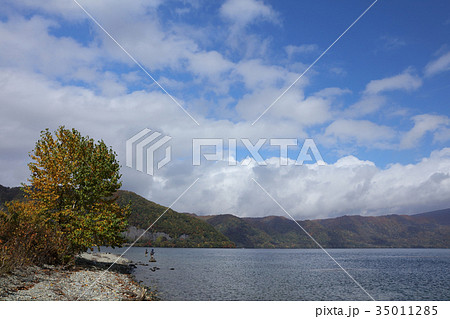 紅葉 十和田湖畔 風景 ニジマス釣り解禁 35011285
