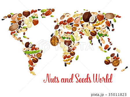World Map Of Nuts Seed And Bean Food Design Stock Illustration