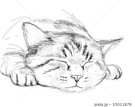 Sleeping Cat Illustration Stock Illustration