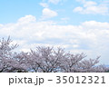 空と桜 35012321