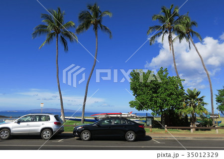 サーフボードとココナッツ 35012329