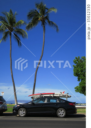 サーフボードとココナッツ サーフボードとココナッツ 35012330