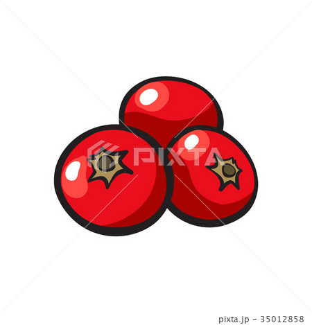 Red mistletoe berries, Christmas holly berry Red mistletoe berries, Christmas holly berry 35012858