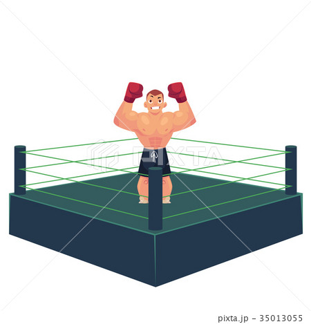 vector flat muscular handsome boxer man vector flat muscular handsome boxer man 35013055