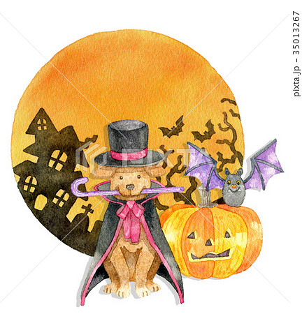 【ハロウィン】ドラキュラ伯爵犬　背景つき 35013267