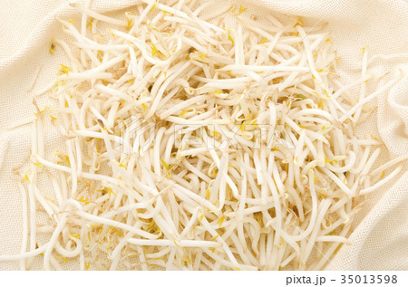 もやし もやし 35013598