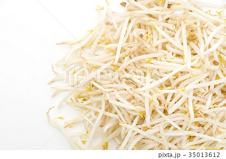 もやし もやし 35013612