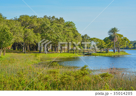 The island at John S. Taylor Park in Largo Florida 35014205