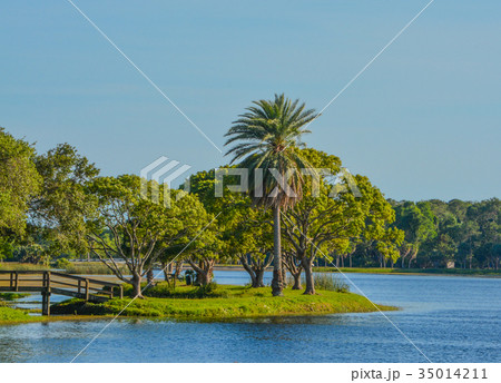 The island at John S. Taylor Park in Largo Florida 35014211