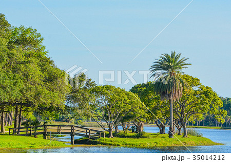 The island at John S. Taylor Park in Largo Florida 35014212