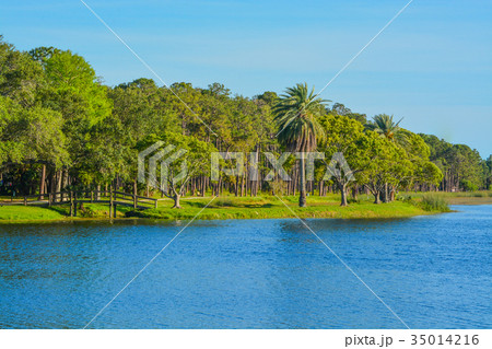 The island at John S. Taylor Park in Largo Florida 35014216