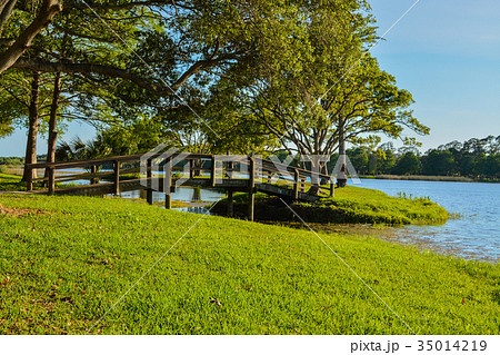 The island at John S. Taylor Park in Largo Florida 35014219