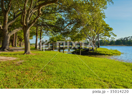 The island at John S. Taylor Park in Largo Florida 35014220